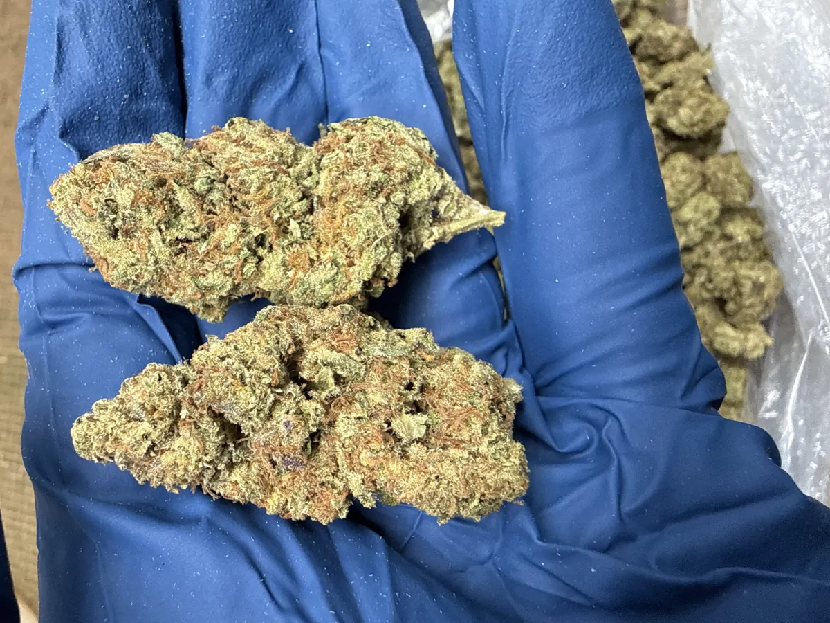 Lemon Kush Flower